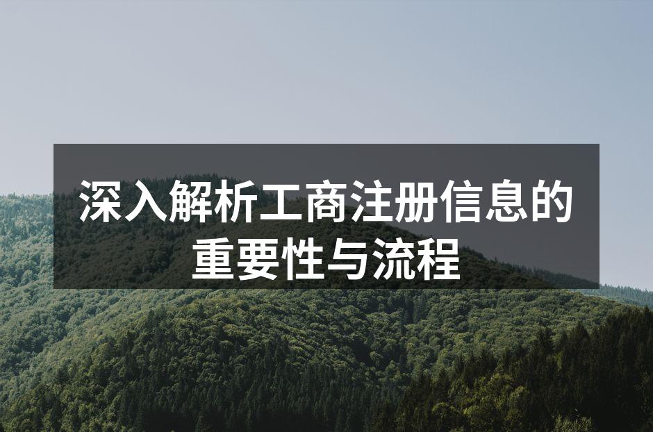 深入解析工商注册信息的重要性与流程
